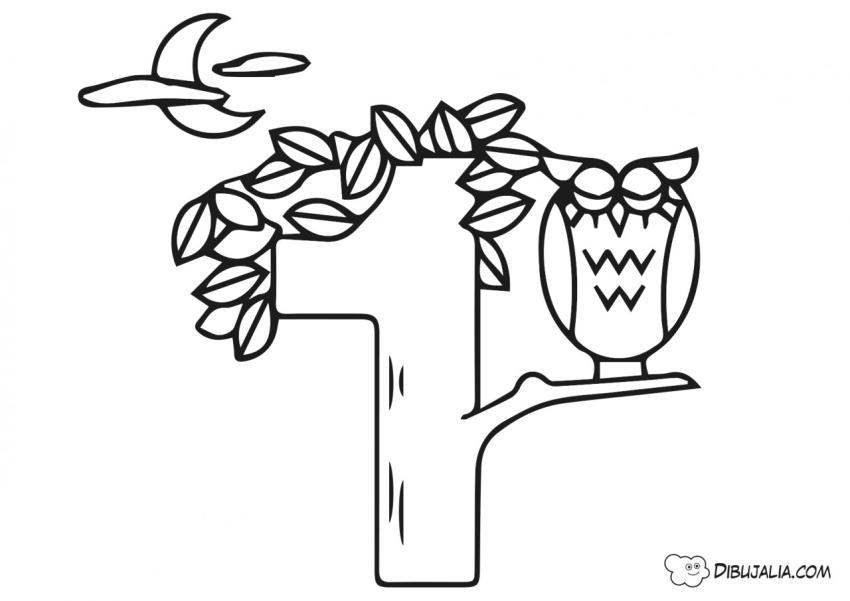 Buho en Árbol