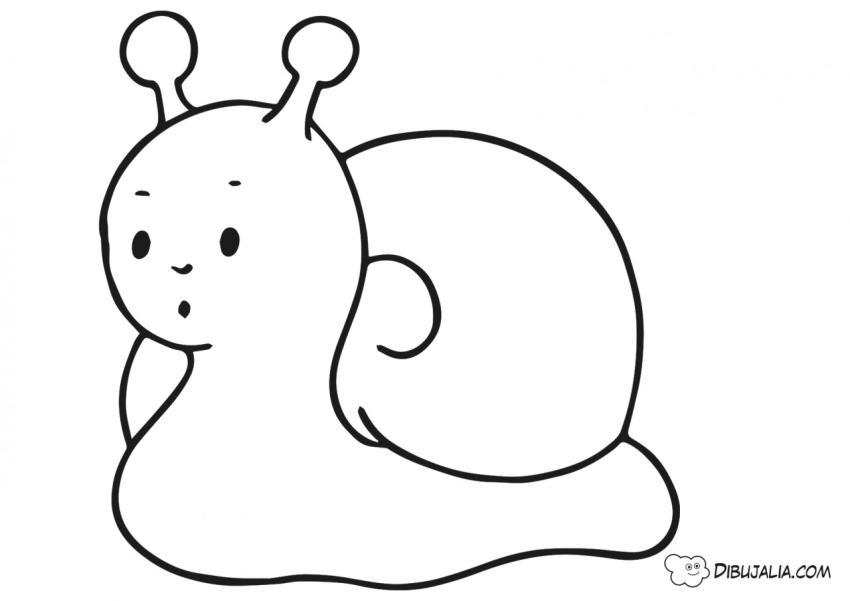 Caracol infantil