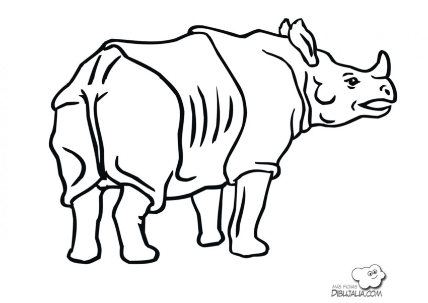 Rinoceronte enorme