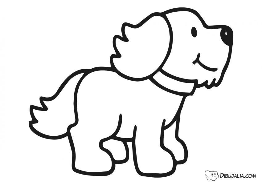 Perrito cachorro para colorear
