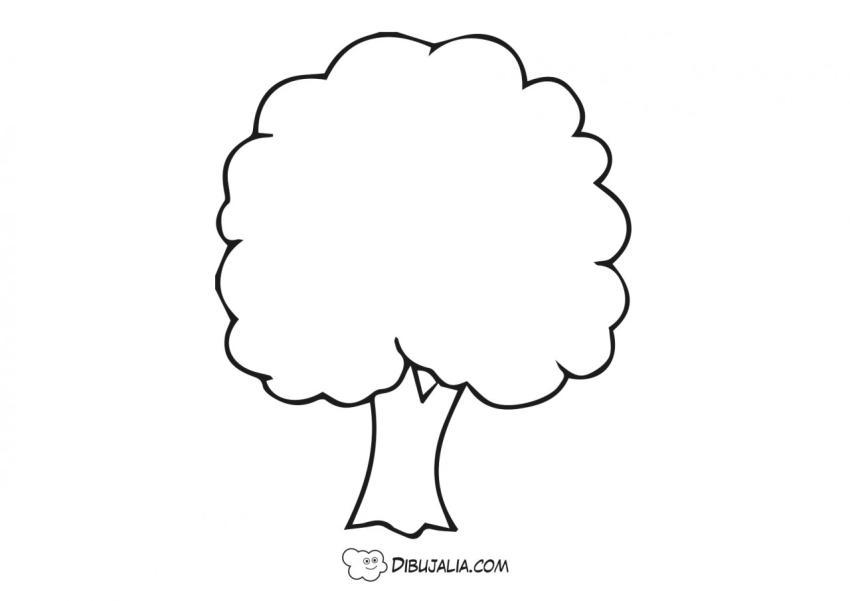 Árbol para bosque