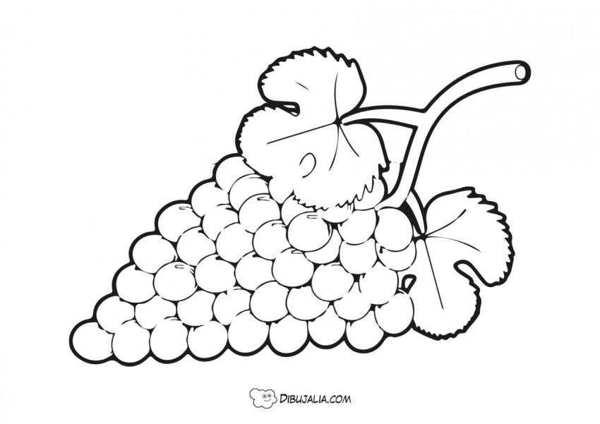 Racimo de uvas