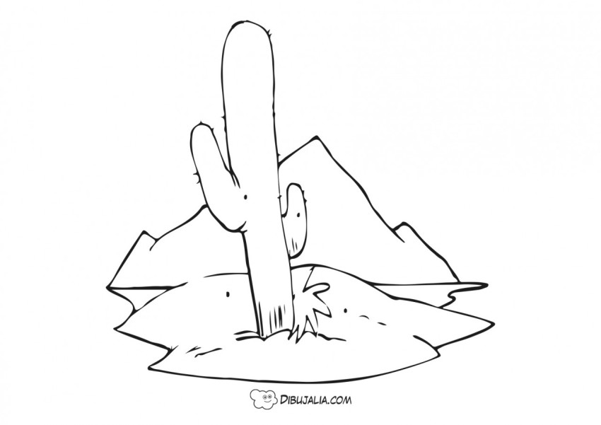 Cactus del desierto