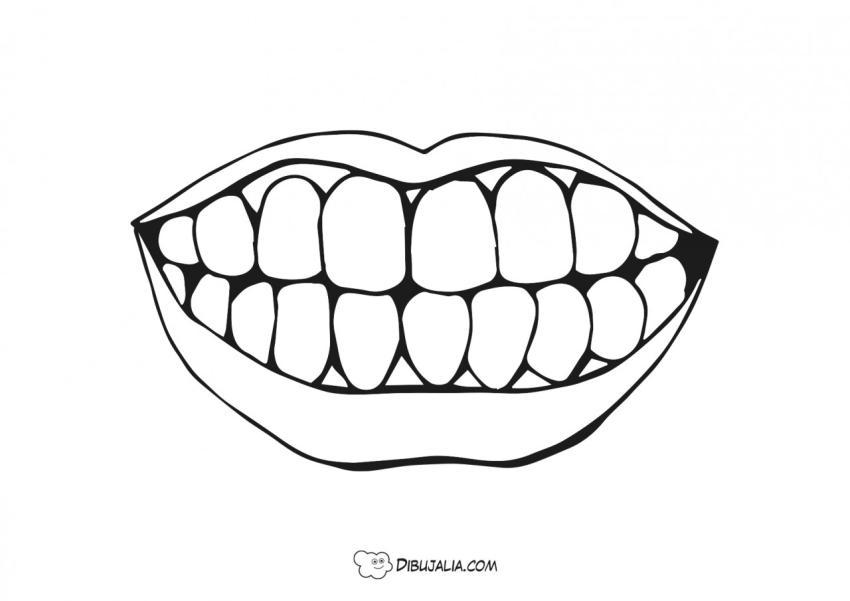 Boca con dientes