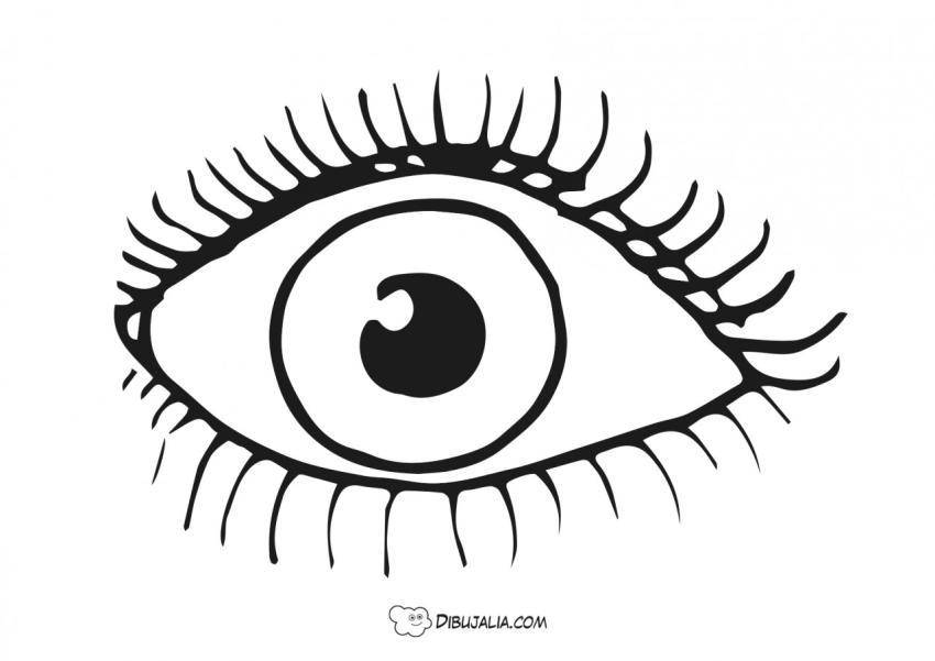Ojo con pestan?as