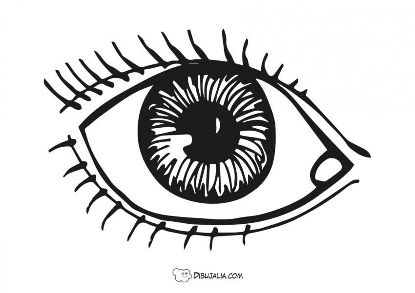 Detalle de ojo