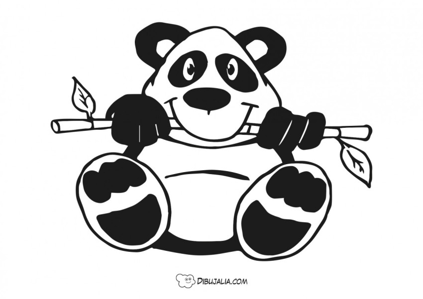 Oso Panda come bambú