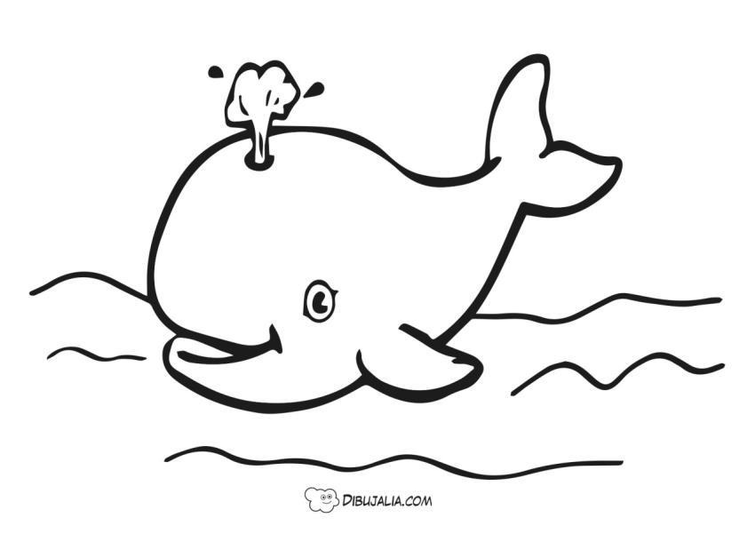 Ballena en el mar