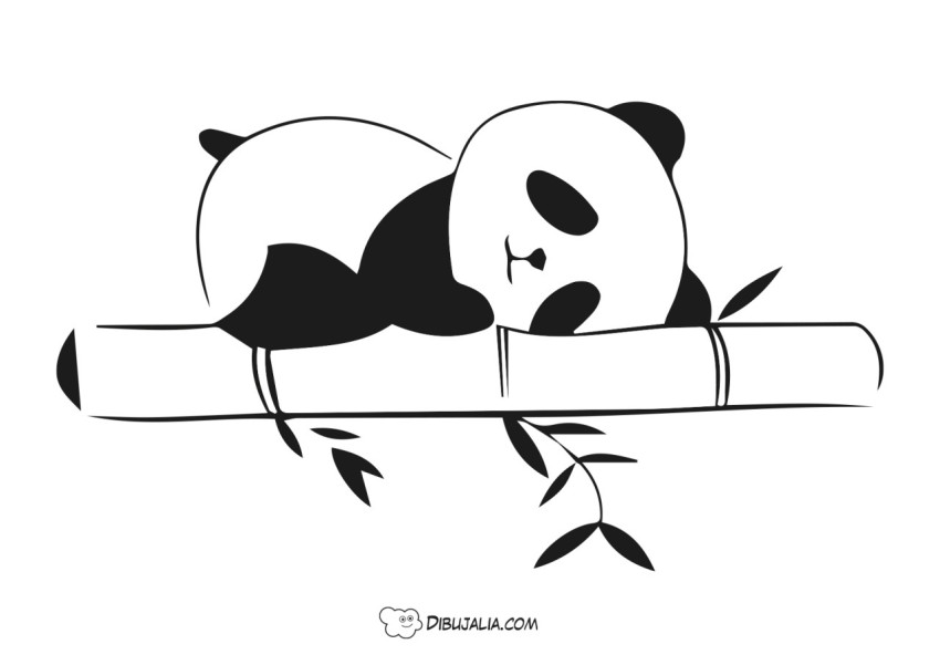 Oso panda durmiendo