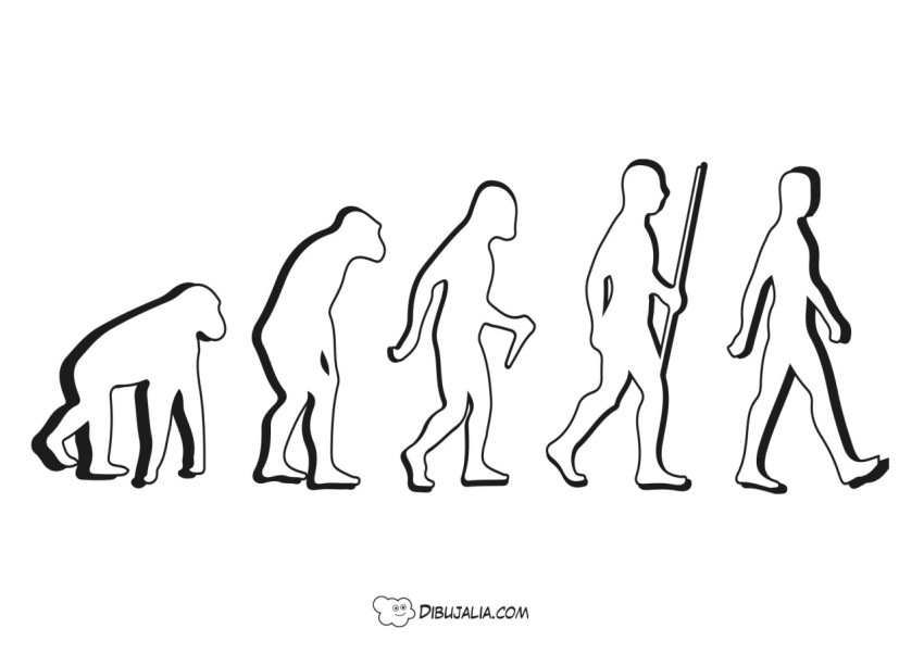 Evolución de los humanos