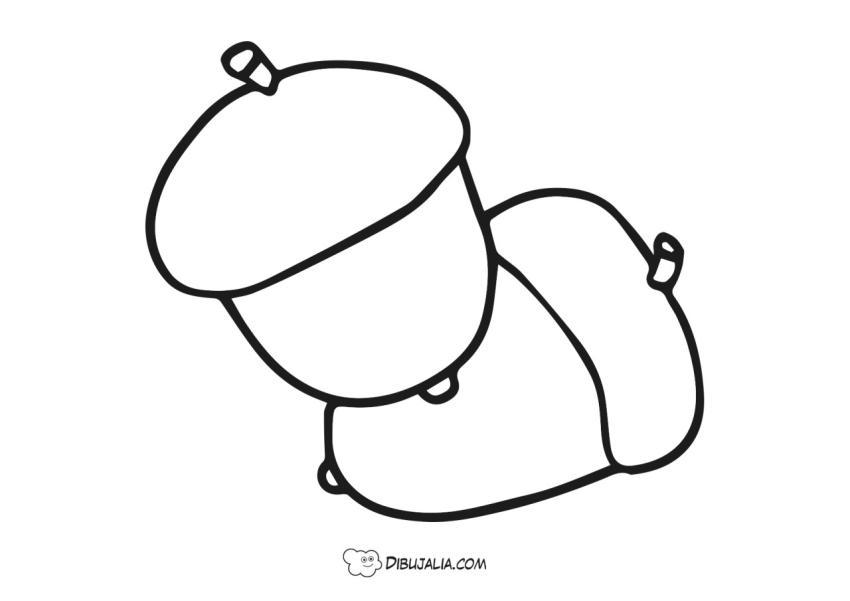 Bellotas