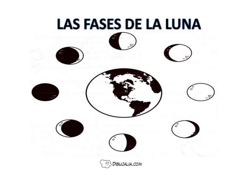 Fases de la luna - Dibujo #1774 - Dibujalia