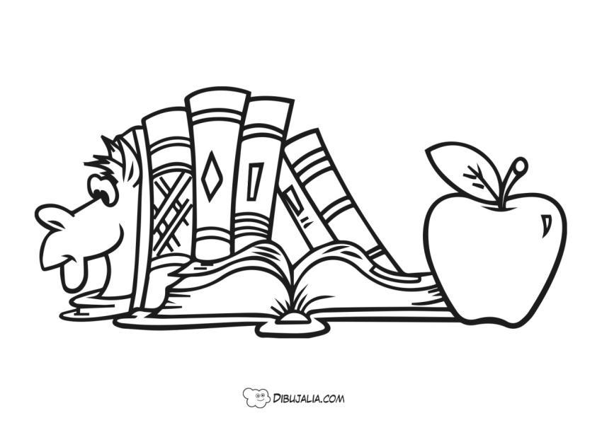 Libros ordenados en libreria