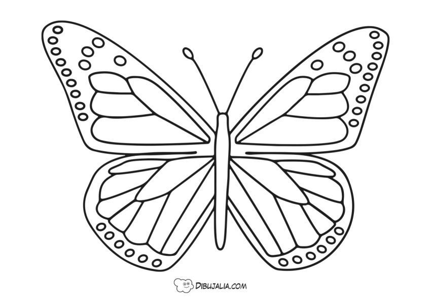 Mariposa de grandes alas - Dibujo #2126 - Dibujalia