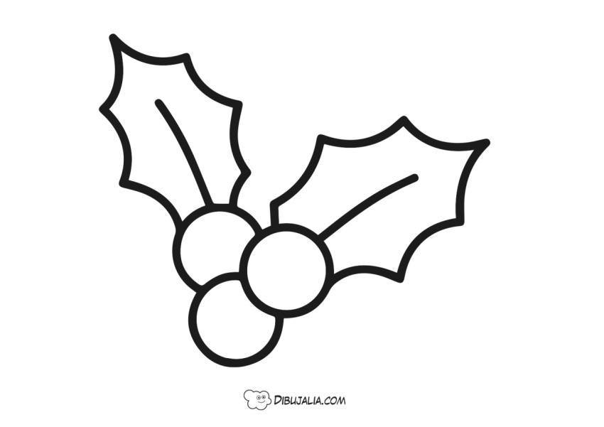 Acebo para decorar