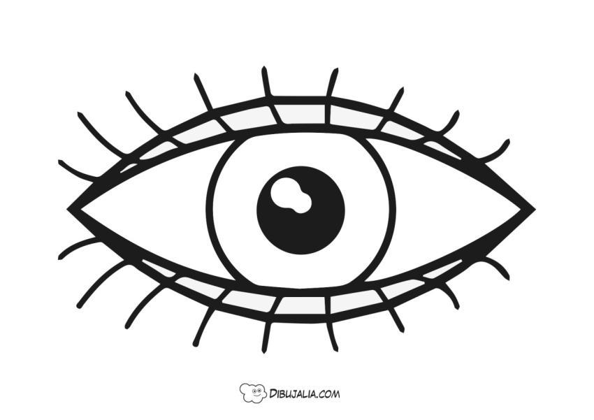 Ojo con pestan?as