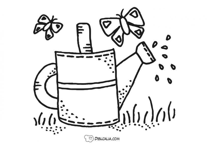 Regadera y mariposas