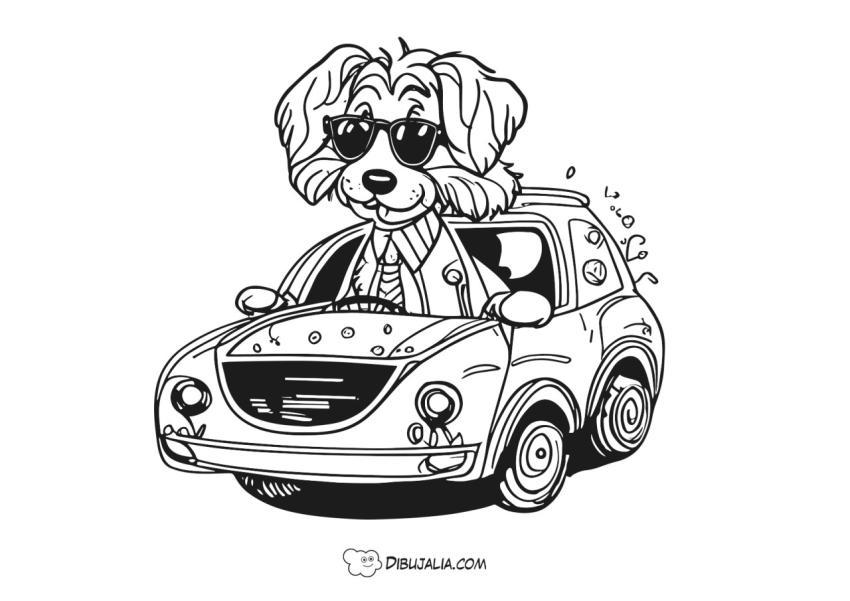 Perro en un coche