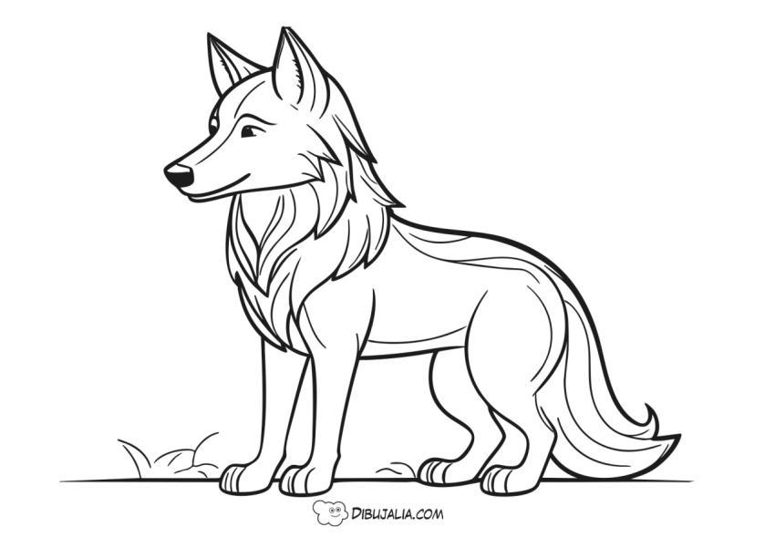 Lobo