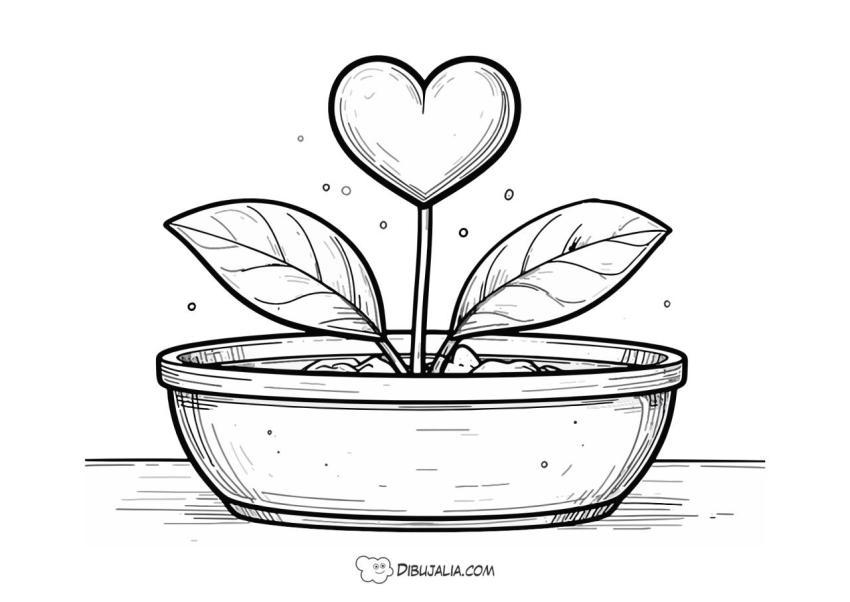 Planta de Corazón Día Enamorados