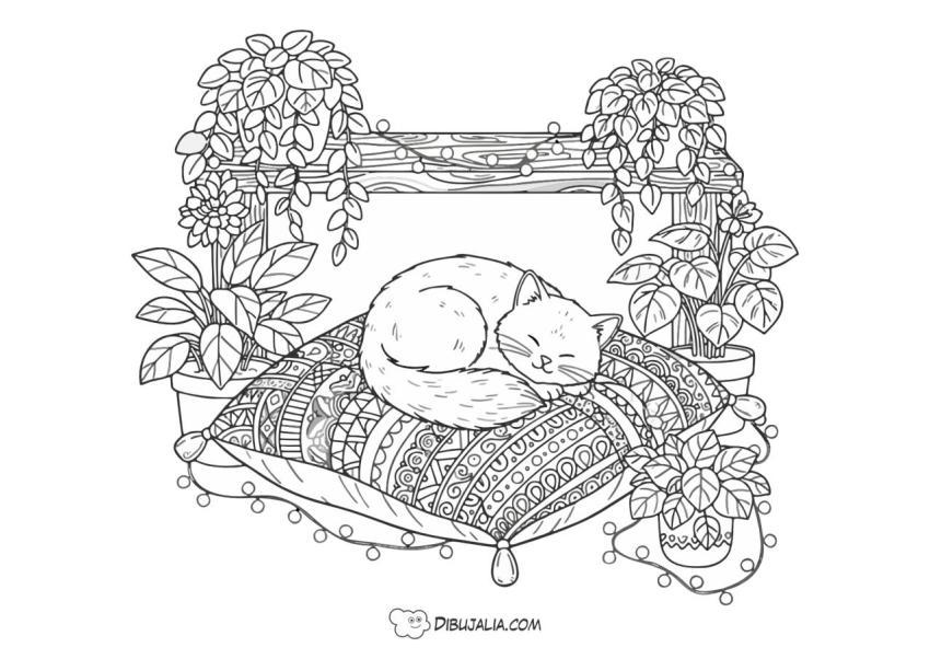 Gato durmiendo tranquilo