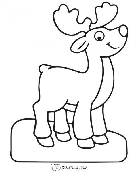 Ciervo Alce elegante