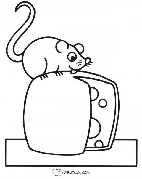 Ratón buscando queso