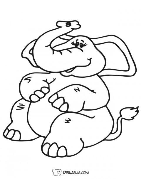 Elefante glotona