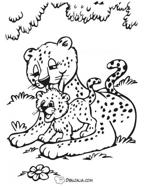 Mama leopardo