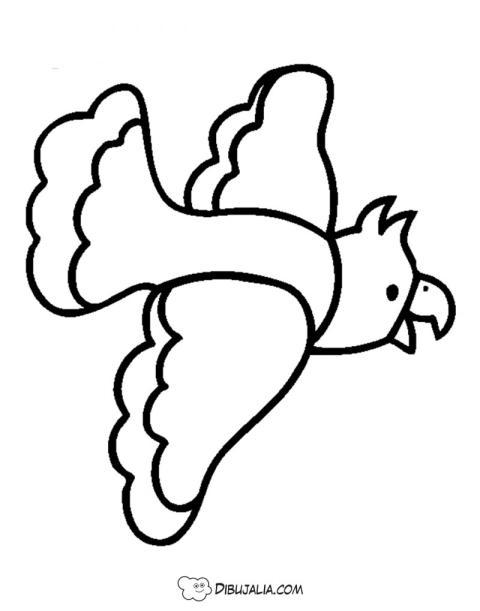 Loro volando