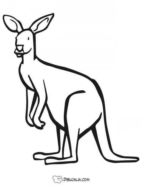 Canguro Australiano
