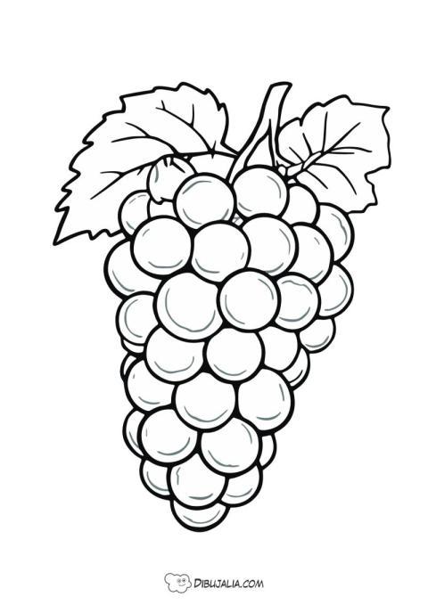 Racimo de Uvas Ricas