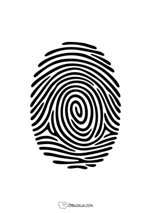 Huella dactilar