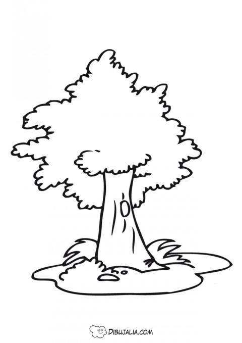 Árbol encina