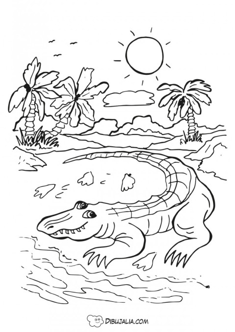 Cocodrilo en la playa tropical - Dibujo #169 - Dibujalia - Dibujos para  Colorear y Recursos Educativos
