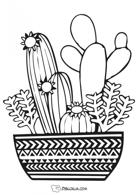 Maceta con Cactus Variados