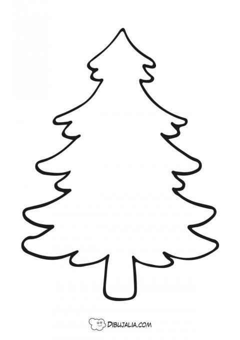 Siluetade un abeto enorme