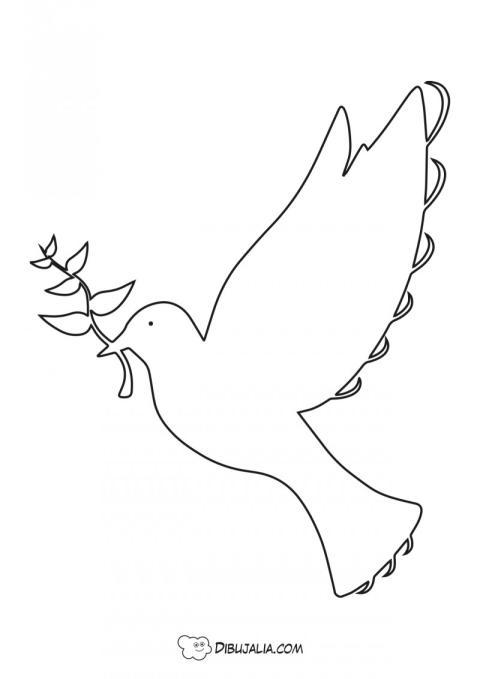 Paloma de la Paz rama olivo