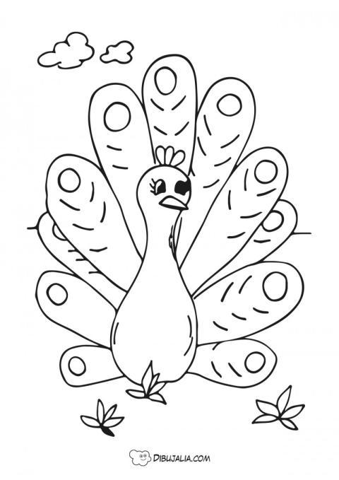 Pavo real
