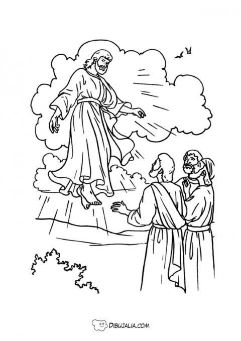 Ascensión de Jesús