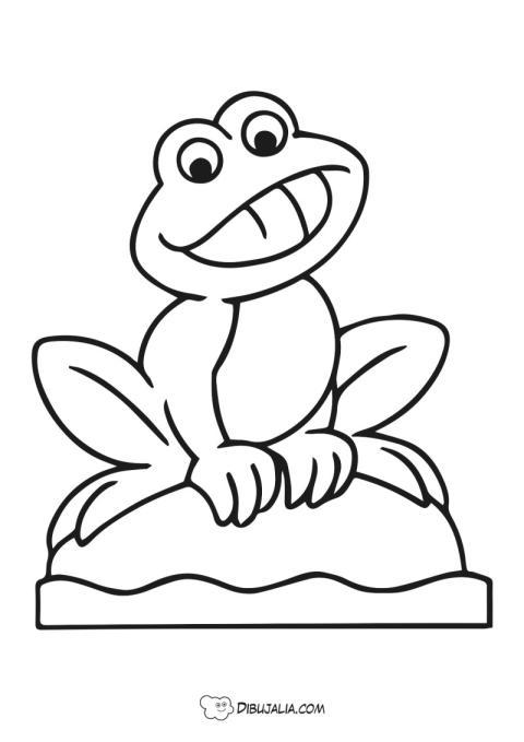 Rana croando