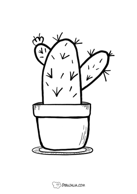Cactus con pinchos y flor