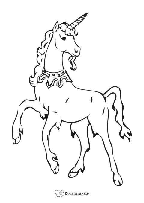 Bello unicornio