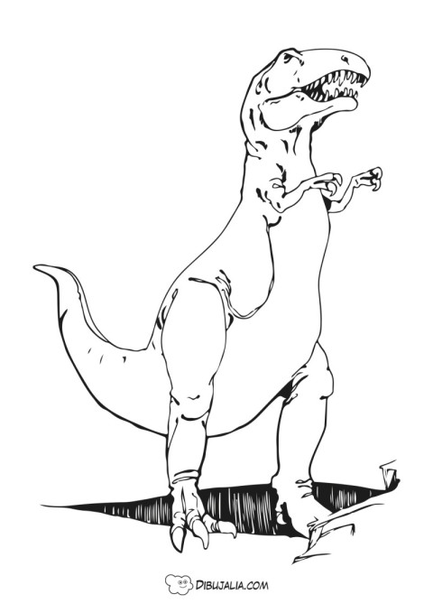 Dinosaurio T-Rex - Dibujo #1463 - Dibujalia - Dibujos para Colorear y  Recursos Educativos