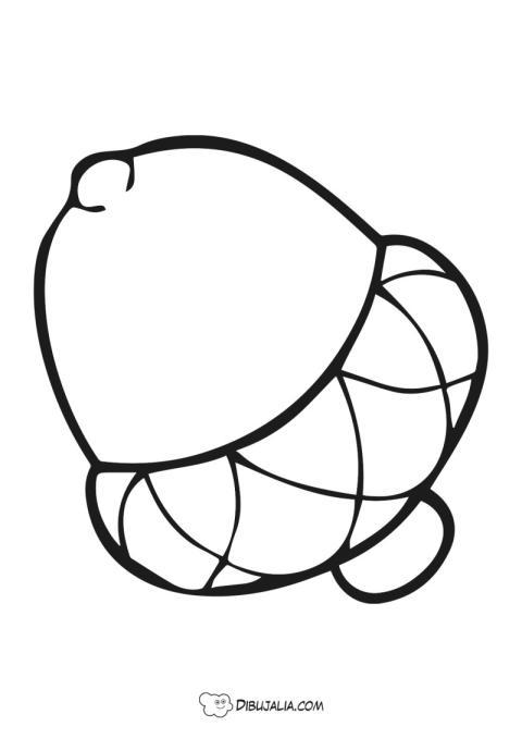 Bellota