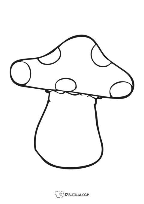 Seta venenosa