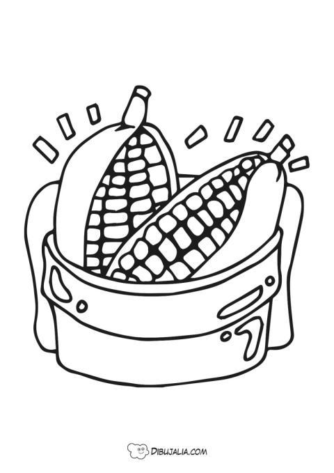 Mazorcas de maiz