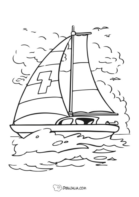 Barco de vela deportivo