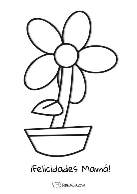 Planta de Felicidades Mama