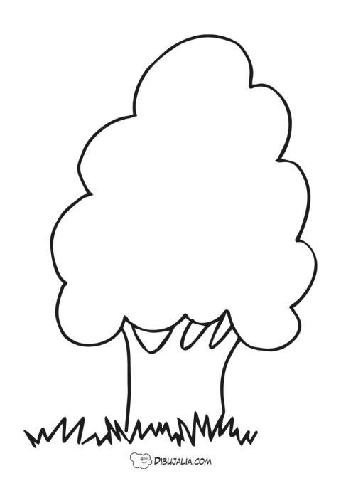 Gran Arbol Frondoso